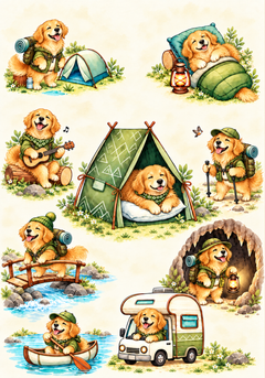 camp-1021-03.png