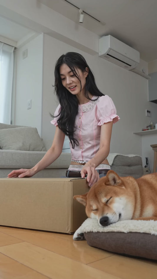 Shiba Camp Club V2 柴犬 キャンプ 総柄 アイボリー ブランケット | モーニングクルー